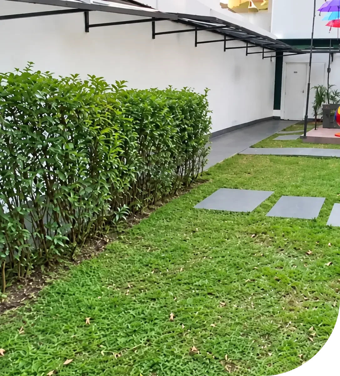 projeto star jardinagem 06 (1)
