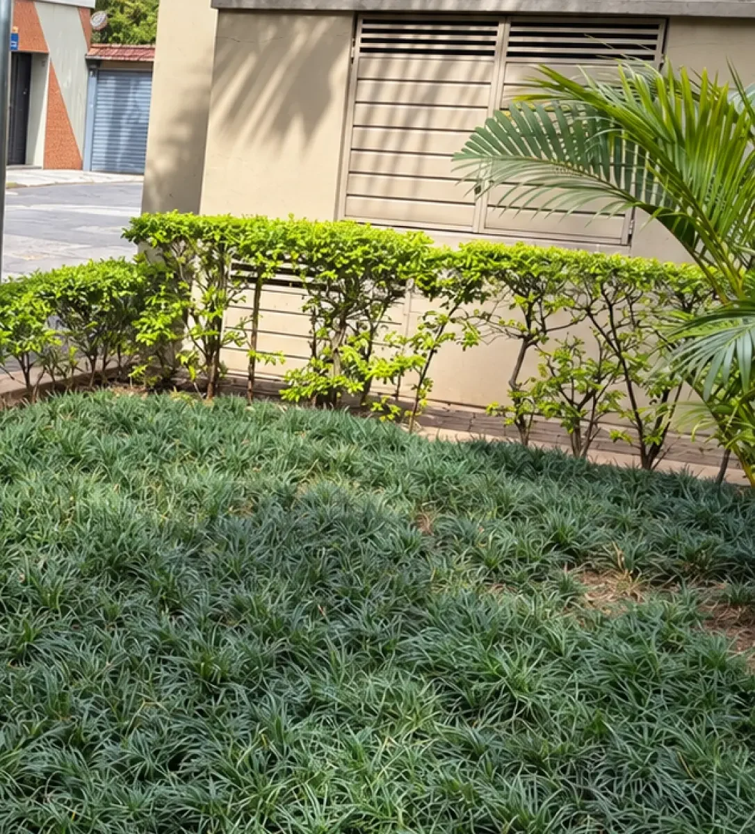 projeto star jardinagem mobile 03 (1)